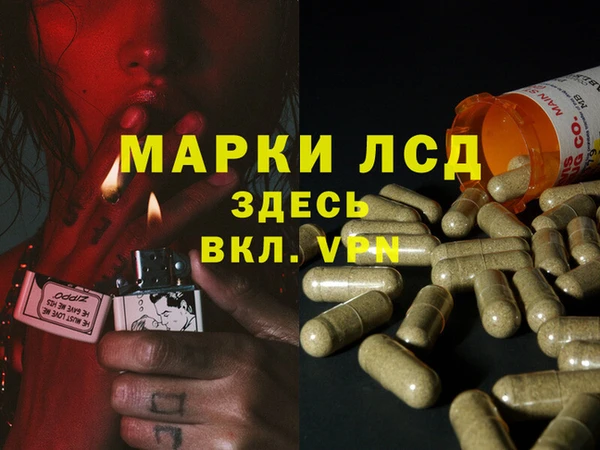 марихуана Гусиноозёрск