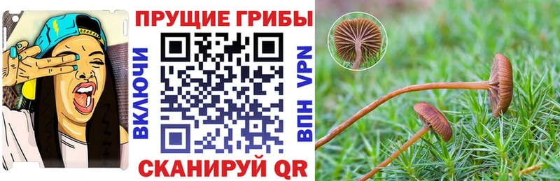 где продают наркотики  Еманжелинск  Псилоцибиновые грибы Cubensis 