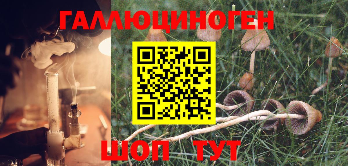 Галлюциногенные грибы GOLDEN TEACHER  Еманжелинск  Галлюциногенные грибы прущие грибы 