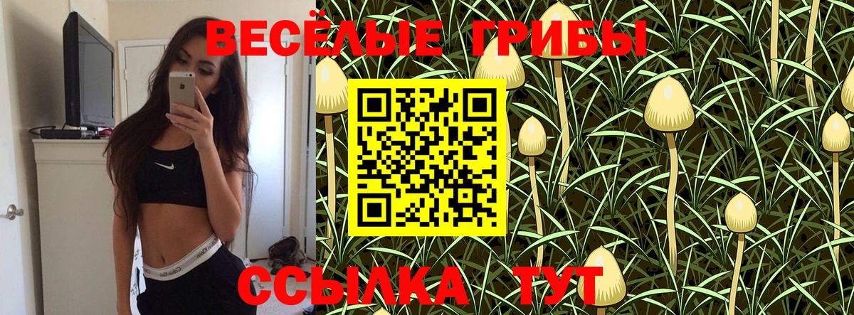 Псилоцибиновые грибы прущие грибы Еманжелинск